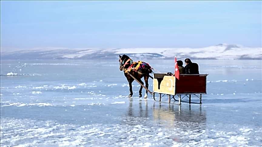 thumbs_b_c_34cbe2f26ebed9e442869521abc0ebb9